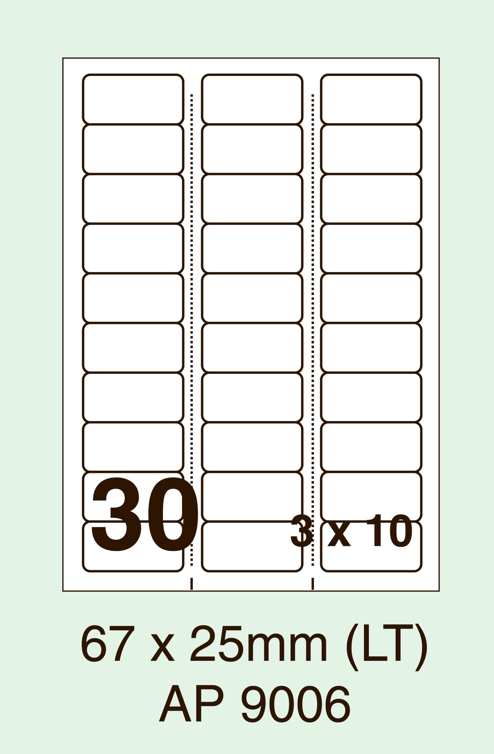 AP 9006 (67 x 25mm LT)