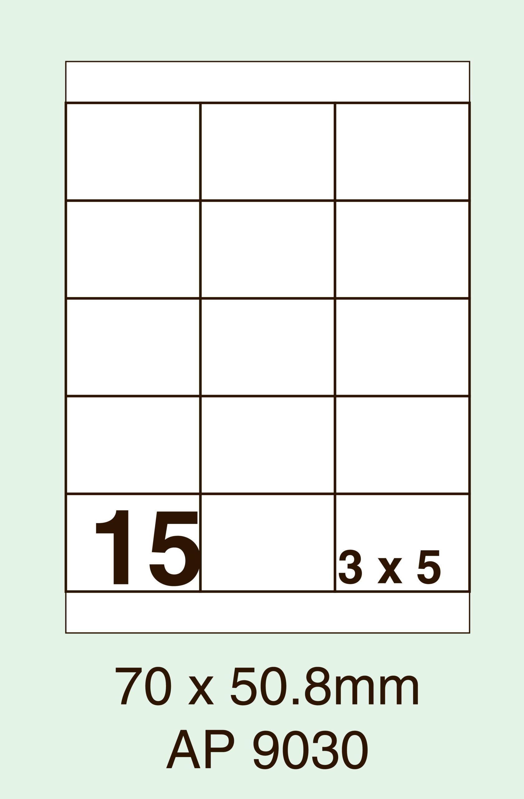 AP 9030 (70 x 50.8mm)